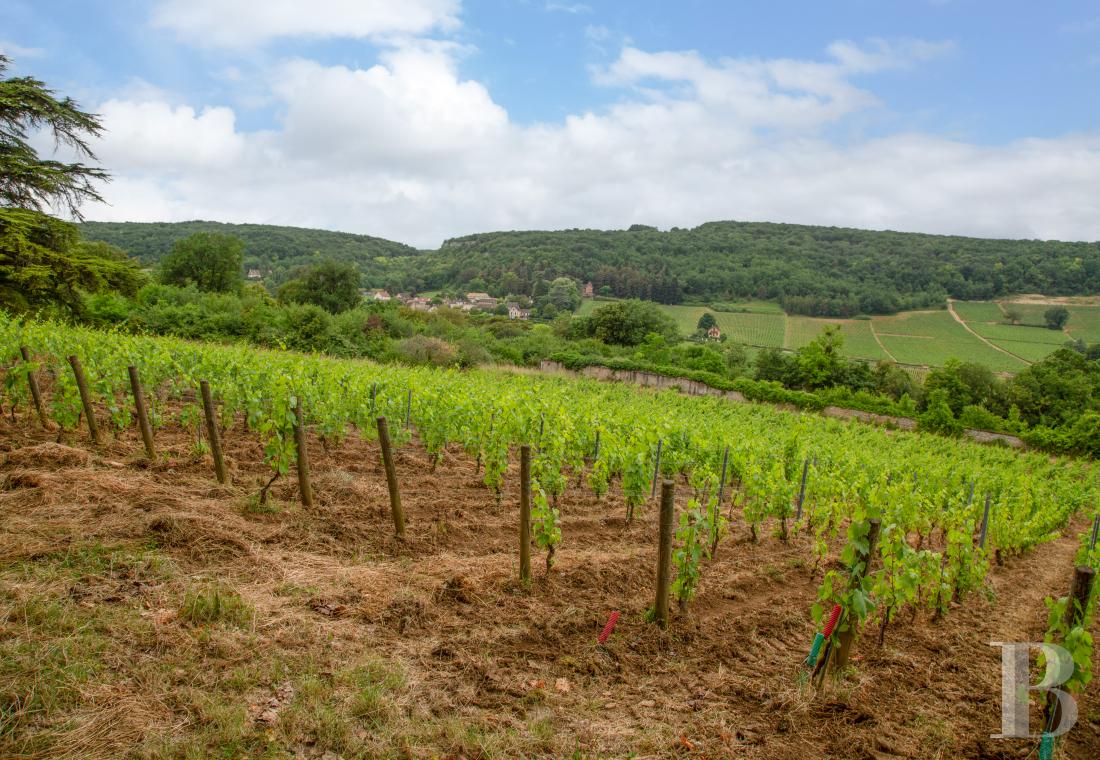 residences and character houses france burgundy   - 11